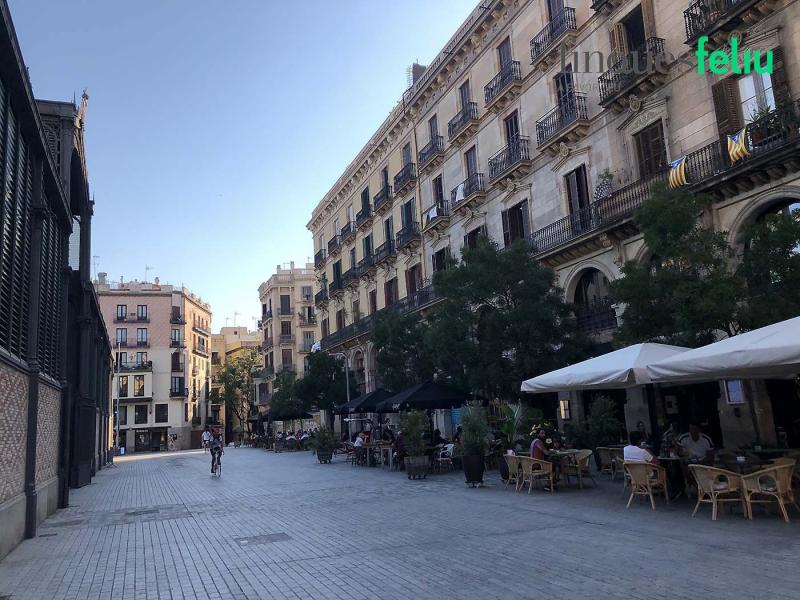 https://www.finquesfeliu.es/TAAFSynch/imagesNW/4705_48_1783443890.jpg